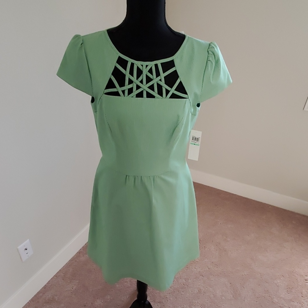 Ivy & Blu pinstripe dress